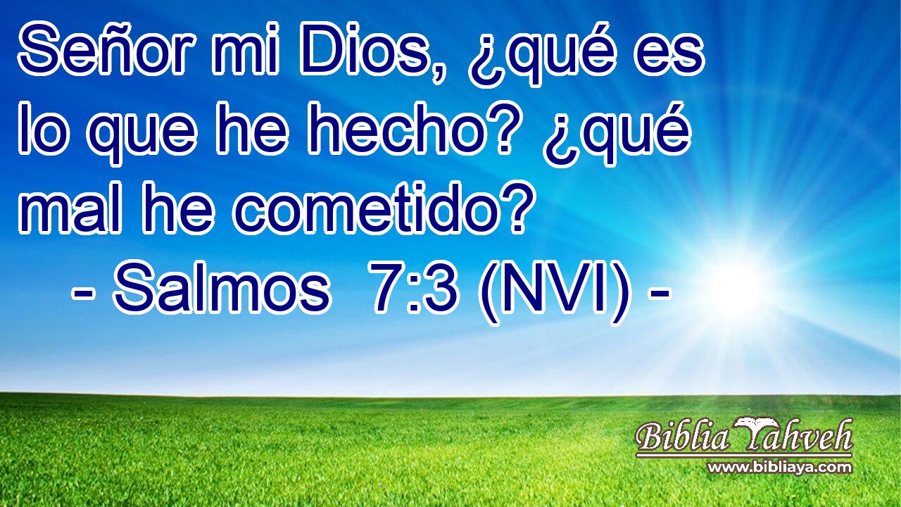  Señor mi Dios, ¿qué es lo que he hecho? ¿qué mal he cometido? 