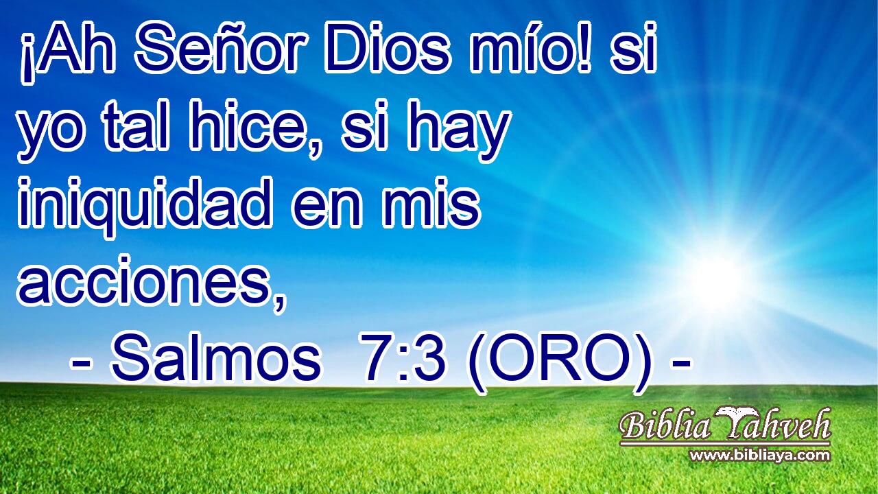  ¡Ah Señor Dios mío! si yo tal hice, si hay iniquidad en mis acciones, 