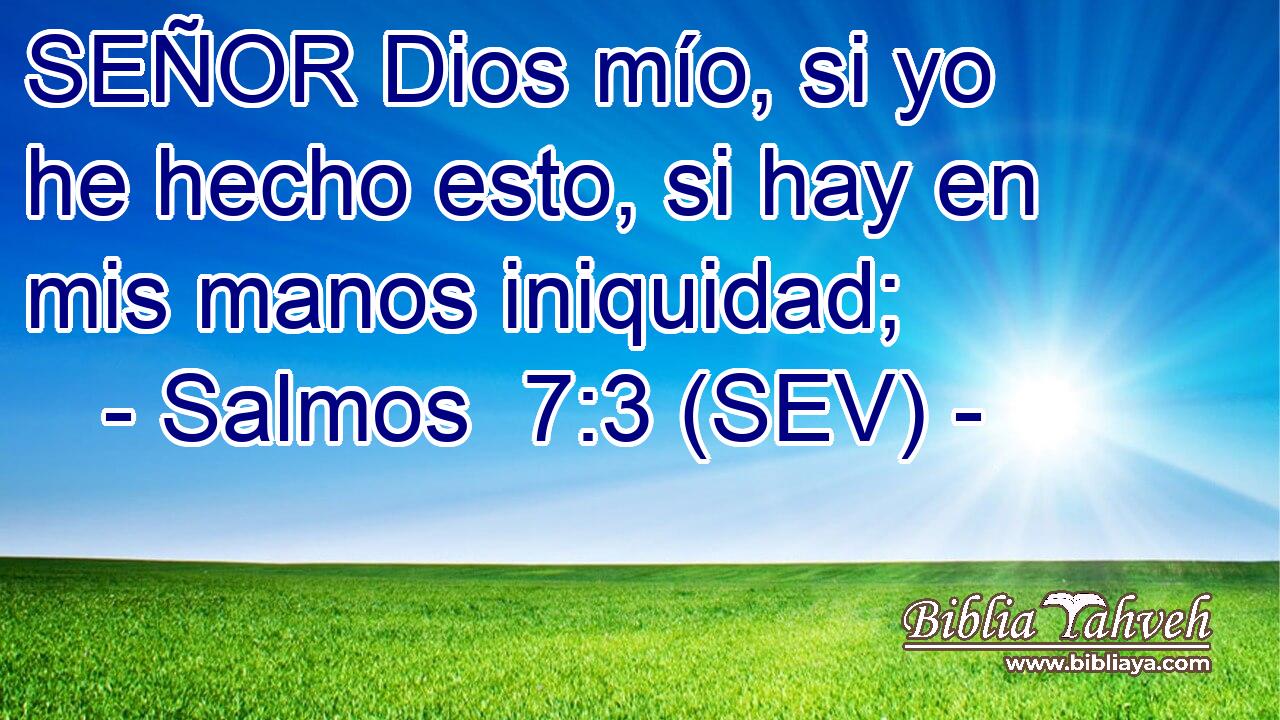 SEÑOR Dios mío, si yo he hecho esto, si hay en mis manos iniquidad;