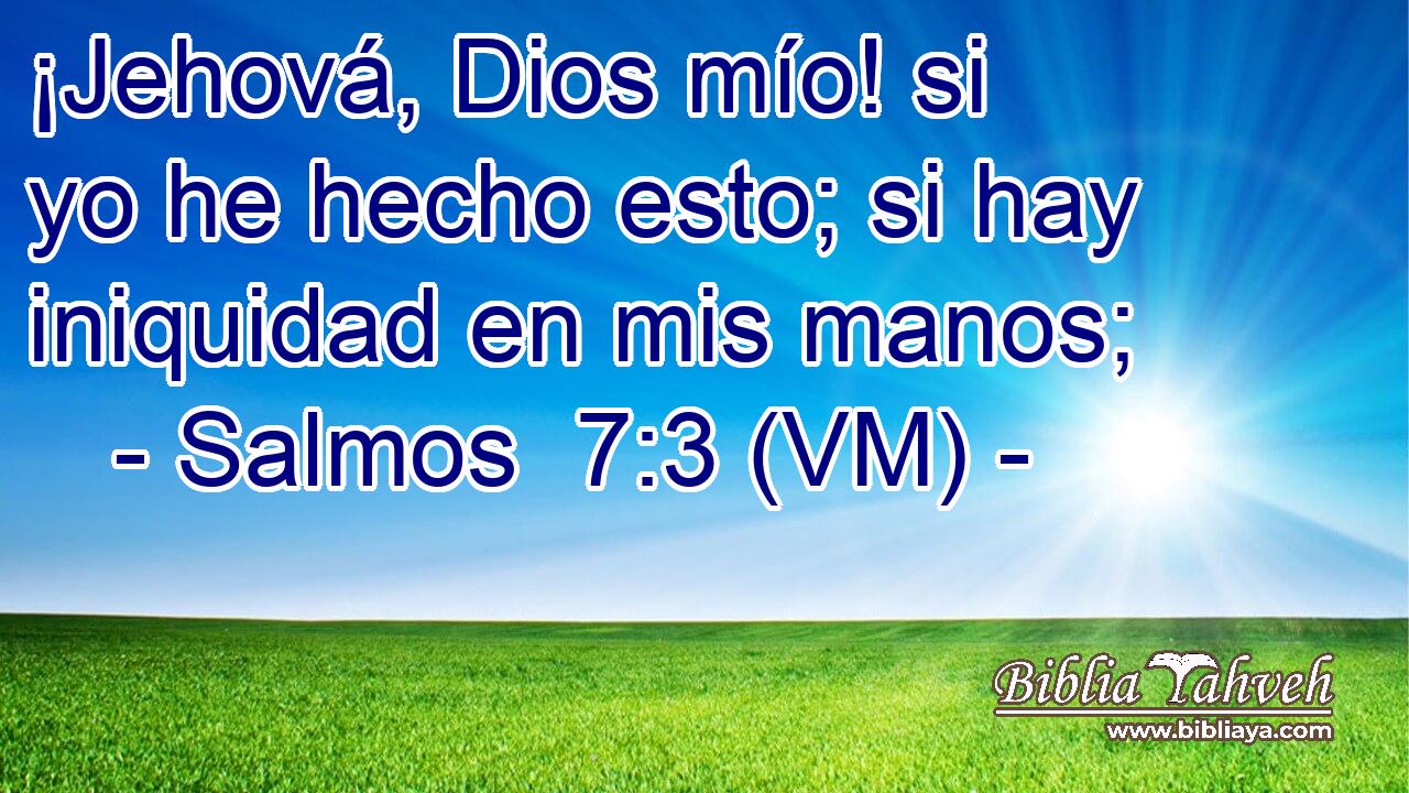  ¡Jehová, Dios mío! si yo he hecho esto; si hay iniquidad en mis manos; 