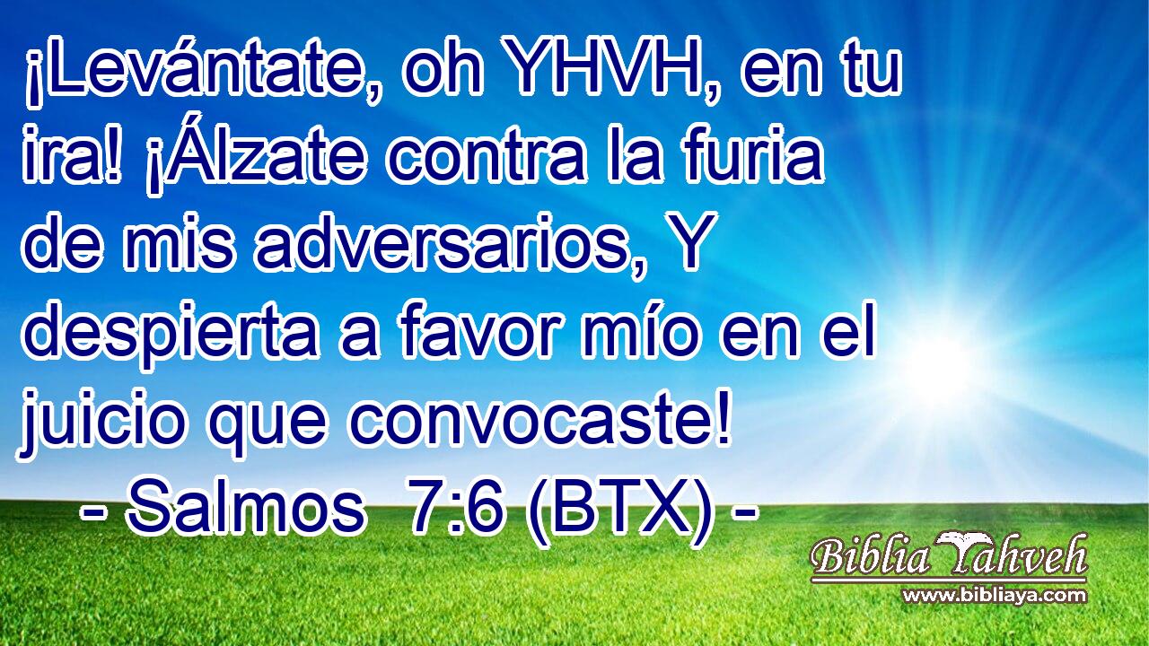 ¡Levántate, oh YHVH, en tu ira! ¡Álzate contra la furia de mis adversarios, Y despierta a favor mío en el juicio que convocaste!