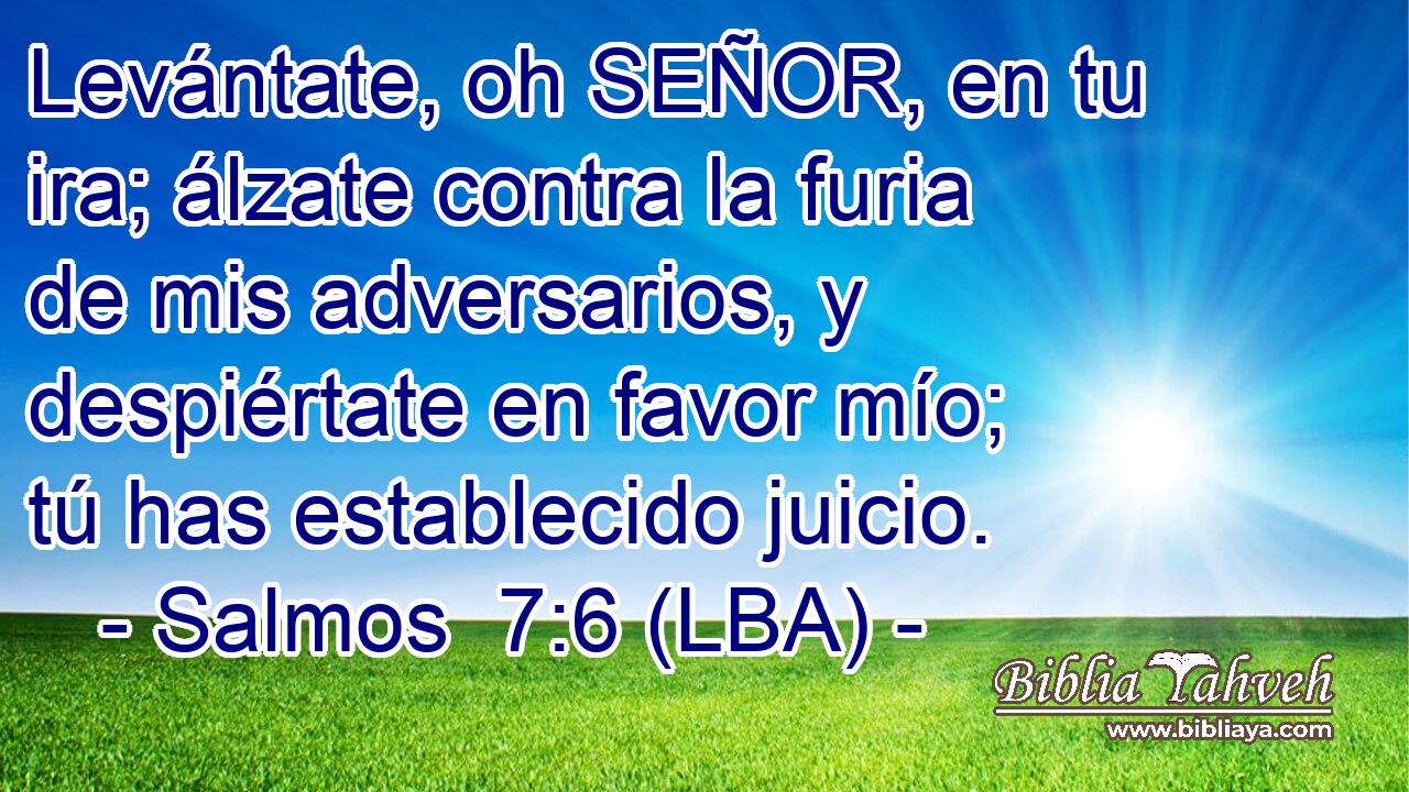 Levántate, oh SEÑOR, en tu ira; álzate contra la furia de mis adversarios, y despiértate en favor mío; tú has establecido juicio.