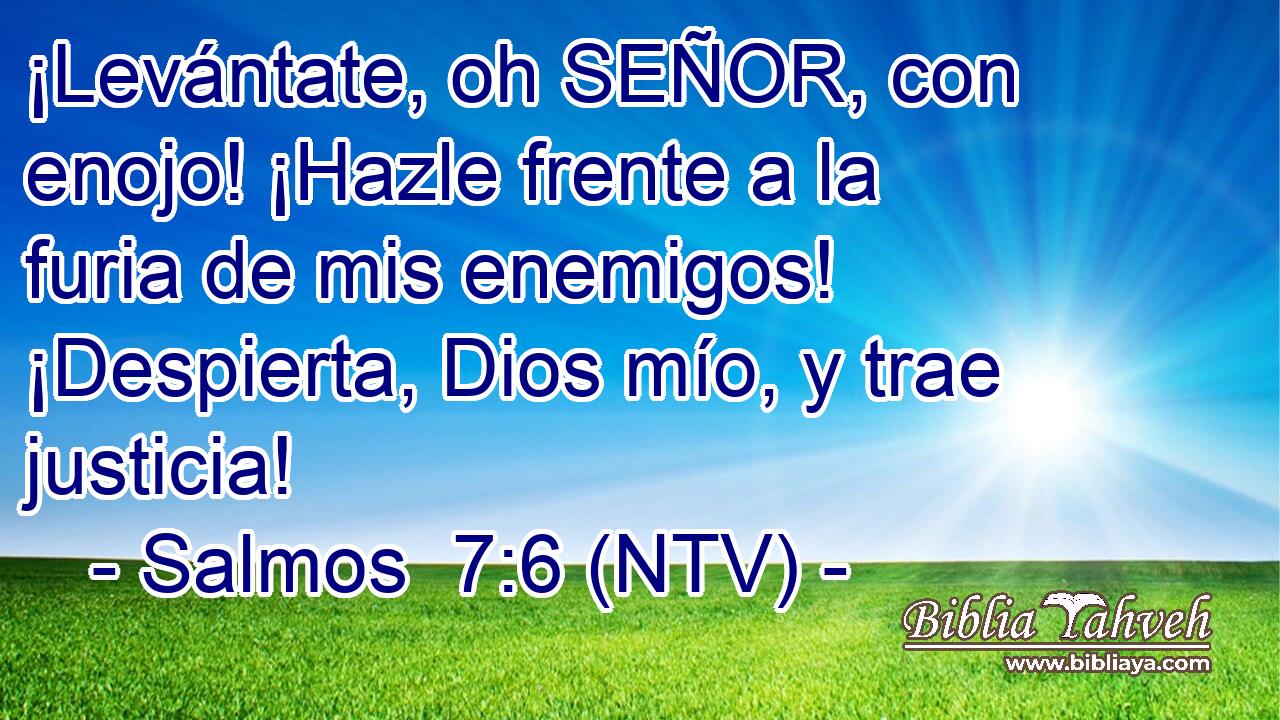¡Levántate, oh SEÑOR, con enojo! ¡Hazle frente a la furia de mis enemigos! ¡Despierta, Dios mío, y trae justicia!