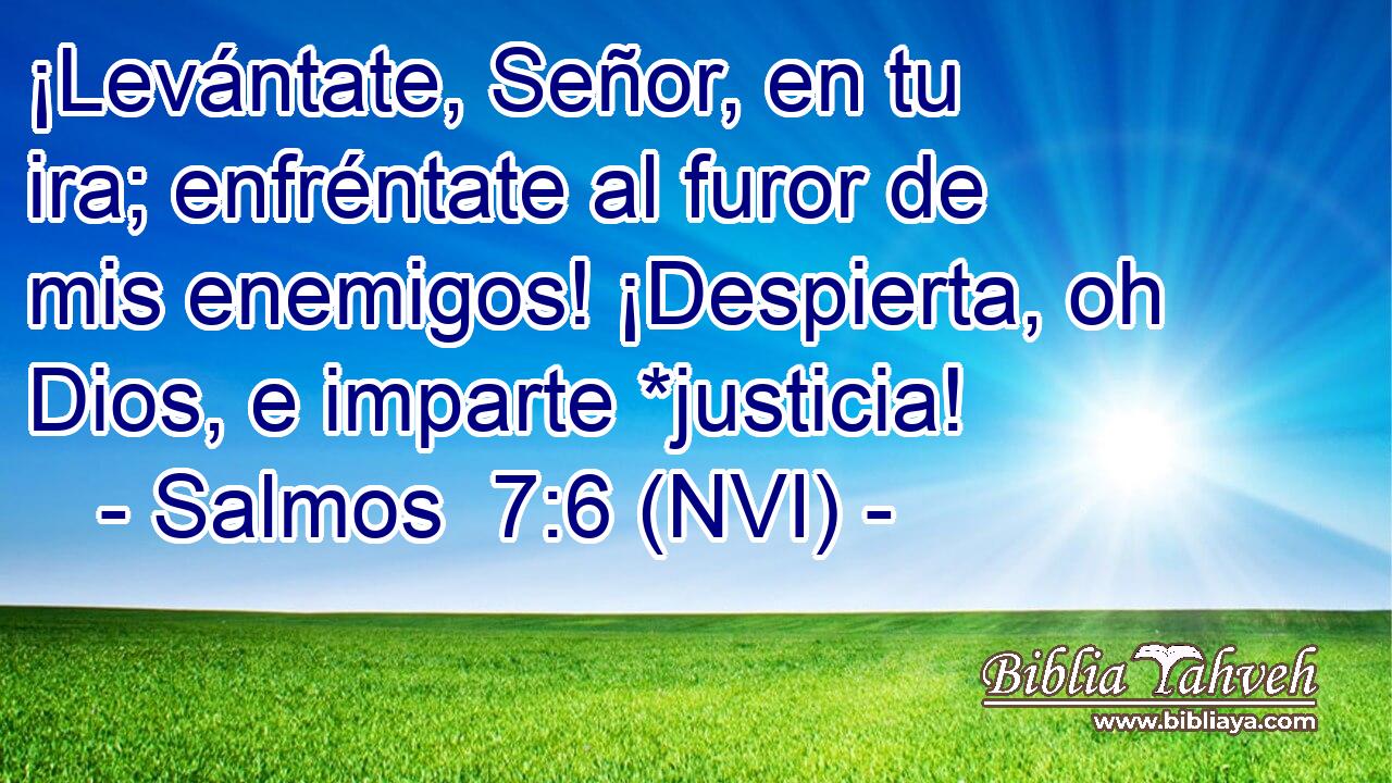  ¡Levántate, Señor, en tu ira; enfréntate al furor de mis enemigos! ¡Despierta, oh Dios, e imparte *justicia! 