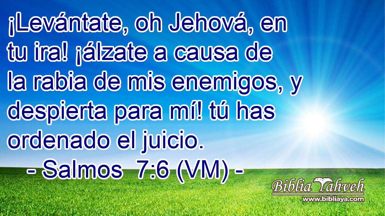  ¡Levántate, oh Jehová, en tu ira! ¡álzate a causa de la rabia de mis enemigos, y despierta para mí! tú has ordenado el juicio. 