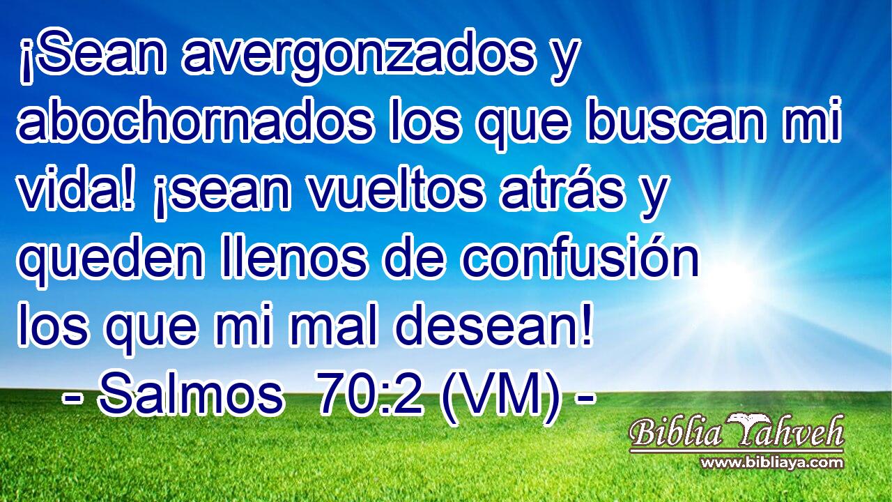  ¡Sean avergonzados y abochornados los que buscan mi vida! ¡sean vueltos atrás y queden llenos de confusión los que mi mal desean! 