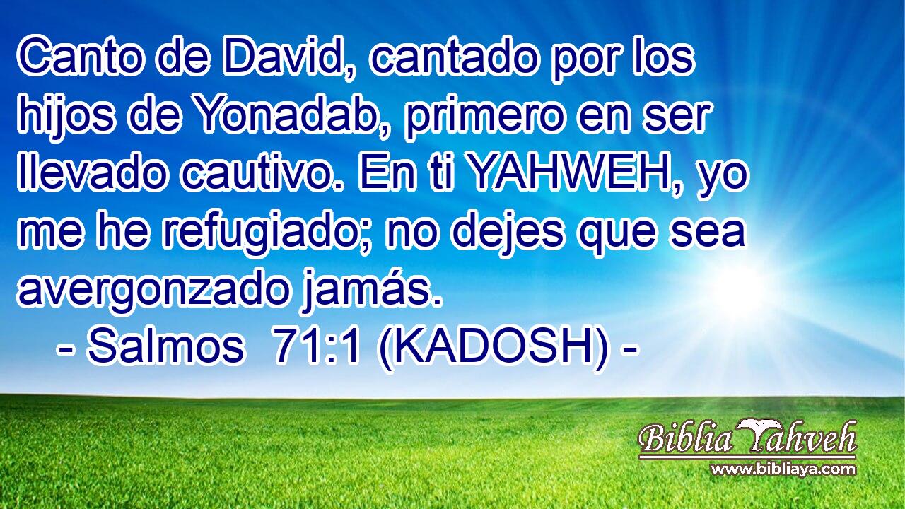  Canto de David, cantado por los hijos de Yonadab, primero en ser llevado cautivo. En ti YAHWEH, yo me he refugiado; no dejes que sea avergonzado jamás. 