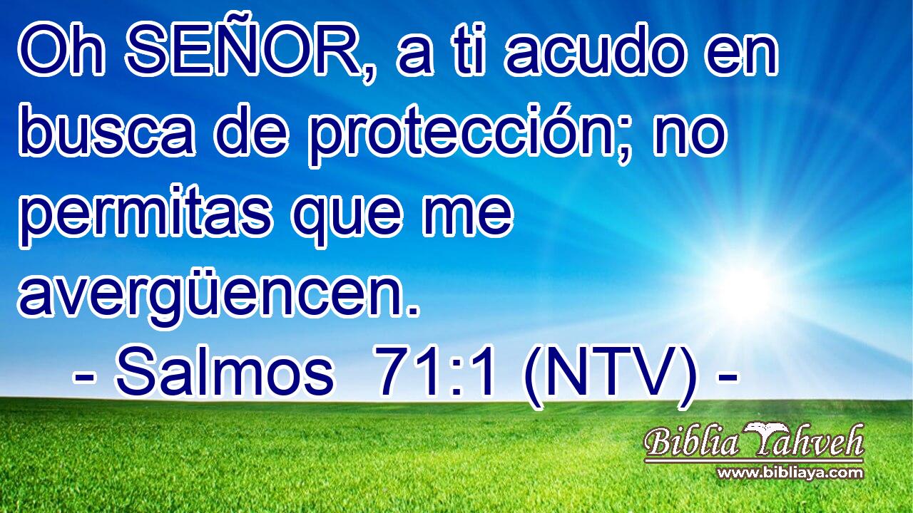 Oh SEÑOR, a ti acudo en busca de protección; no permitas que me avergüencen.