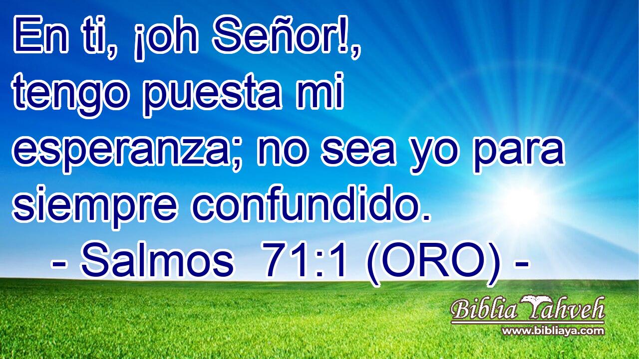  En ti, ¡oh Señor!, tengo puesta mi esperanza; no sea yo para siempre confundido. 