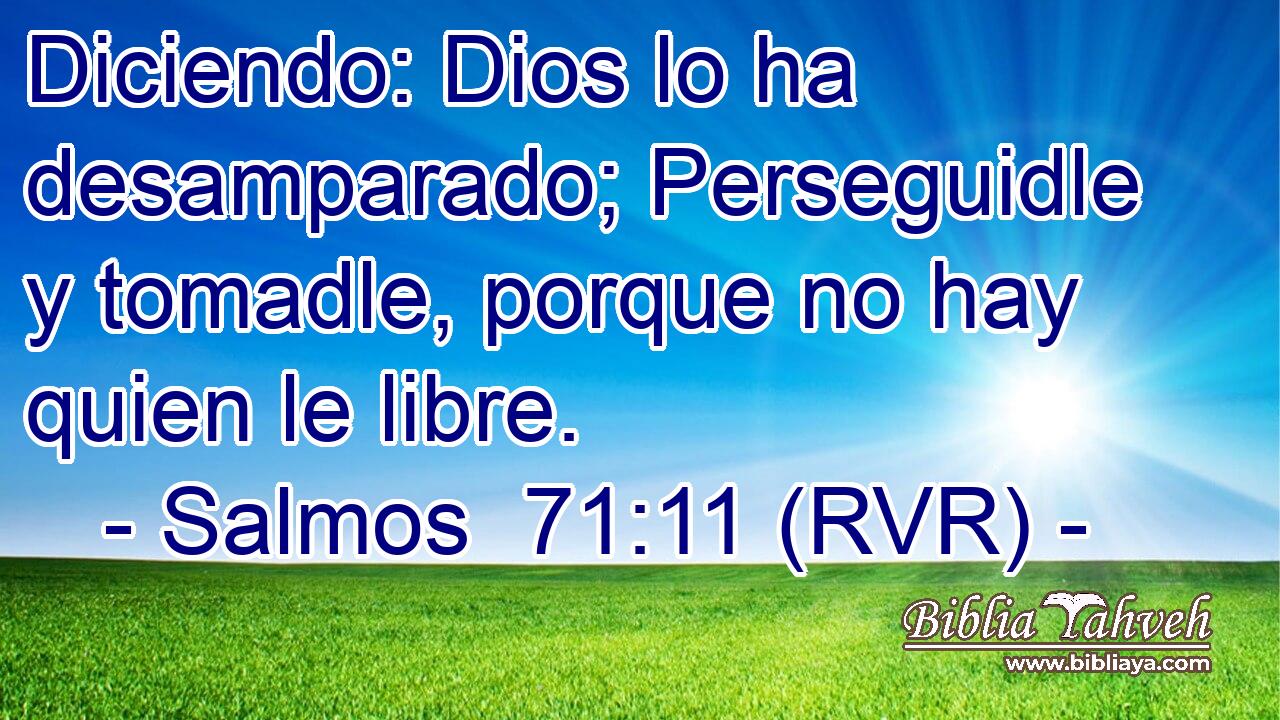 Diciendo: Dios lo ha desamparado; Perseguidle y tomadle, porque no hay quien le libre.
