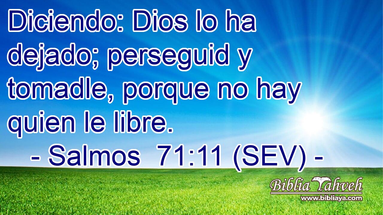 Diciendo: Dios lo ha dejado; perseguid y tomadle, porque no hay quien le libre.