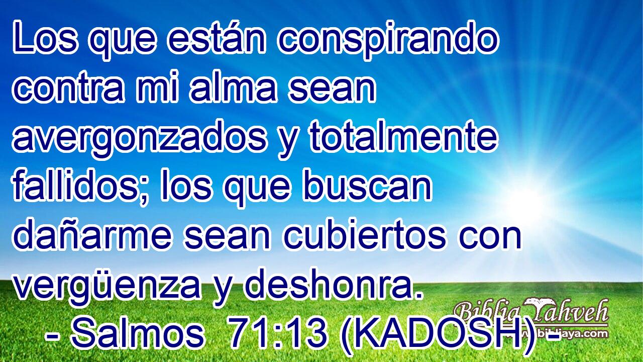  Los que están conspirando contra mi alma sean avergonzados y totalmente fallidos; los que buscan dañarme sean cubiertos con vergüenza y deshonra. 