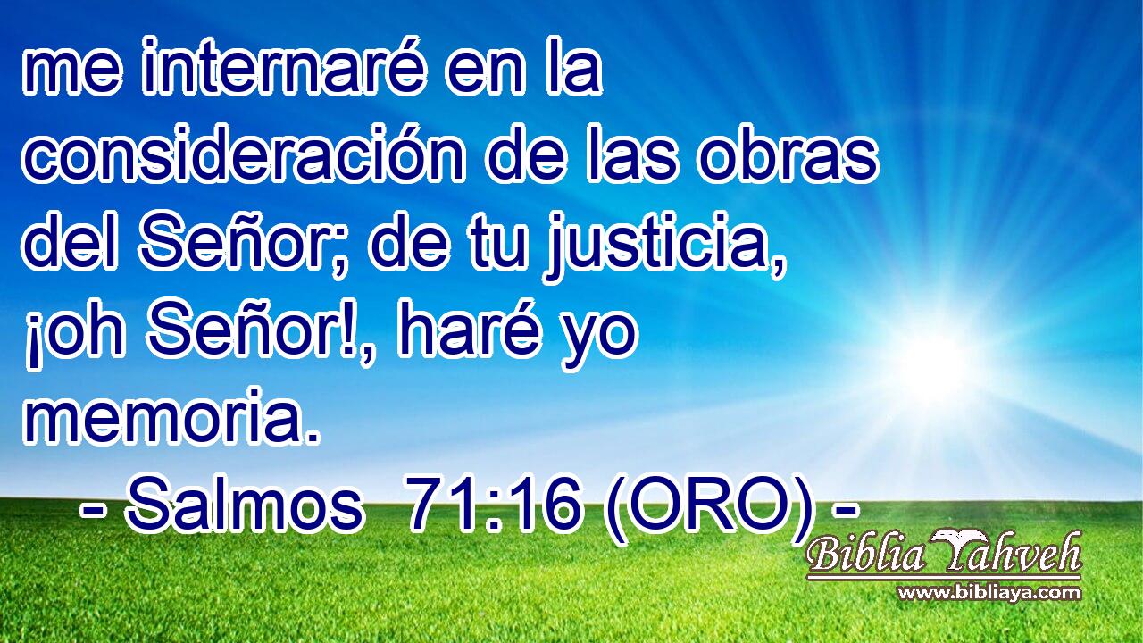  me internaré en la consideración de las obras del Señor; de tu justicia, ¡oh Señor!, haré yo memoria. 