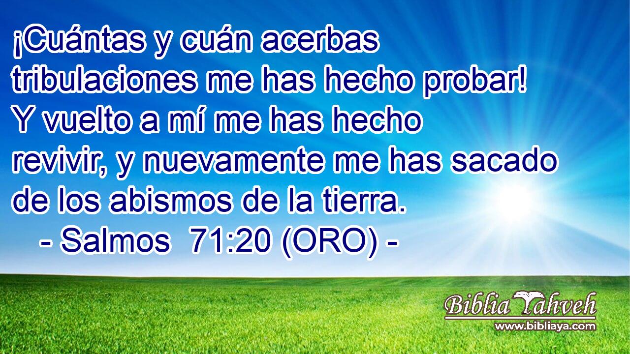  ¡Cuántas y cuán acerbas tribulaciones me has hecho probar! Y vuelto a mí me has hecho revivir, y nuevamente me has sacado de los abismos de la tierra. 