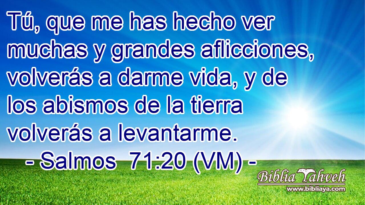  Tú, que me has hecho ver muchas y grandes aflicciones, volverás a darme vida, y de los abismos de la tierra volverás a levantarme. 