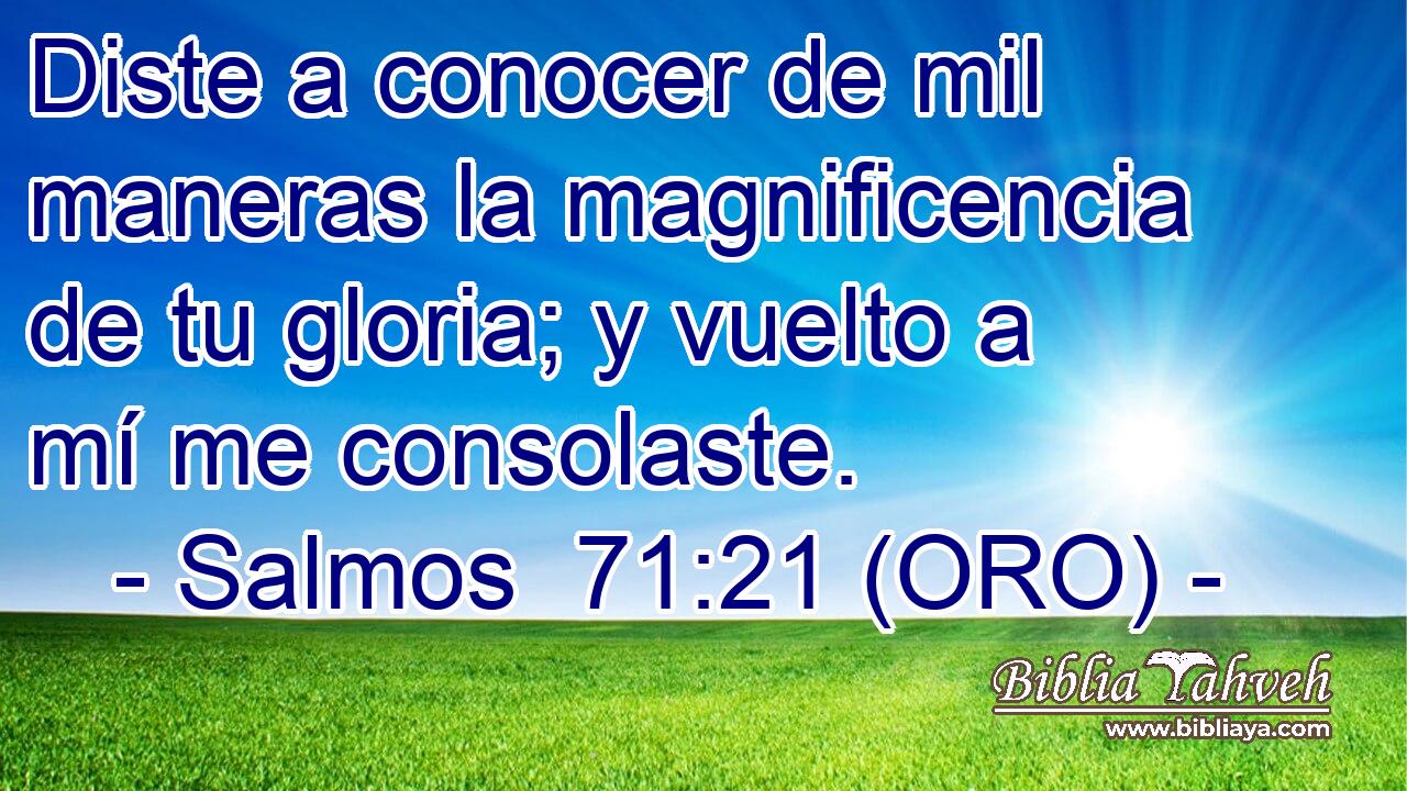  Diste a conocer de mil maneras la magnificencia de tu gloria; y vuelto a mí me consolaste. 