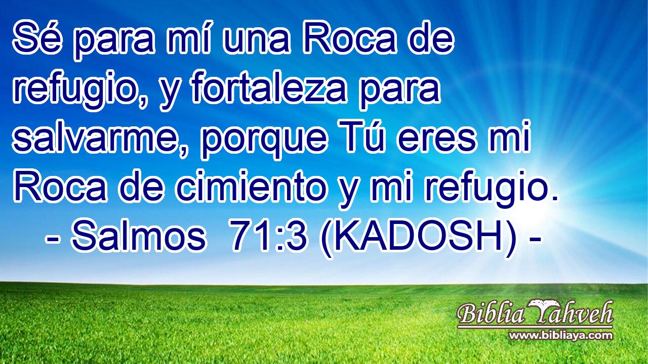  Sé para mí una Roca de refugio, y fortaleza para salvarme, porque Tú eres mi Roca de cimiento y mi refugio. 