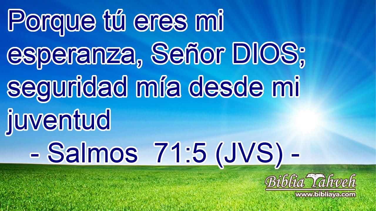 Porque tú eres mi esperanza, Señor DIOS; seguridad mía desde mi juventud