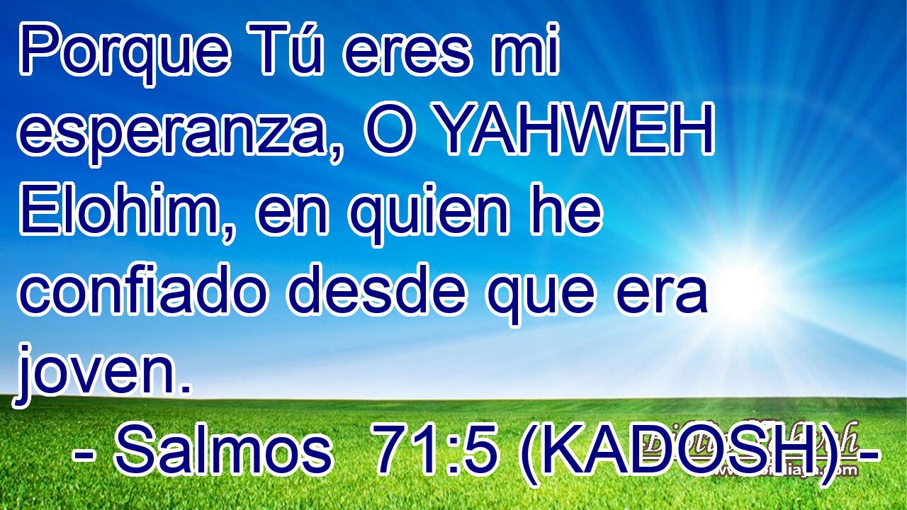  Porque Tú eres mi esperanza, O YAHWEH Elohim, en quien he confiado desde que era joven. 