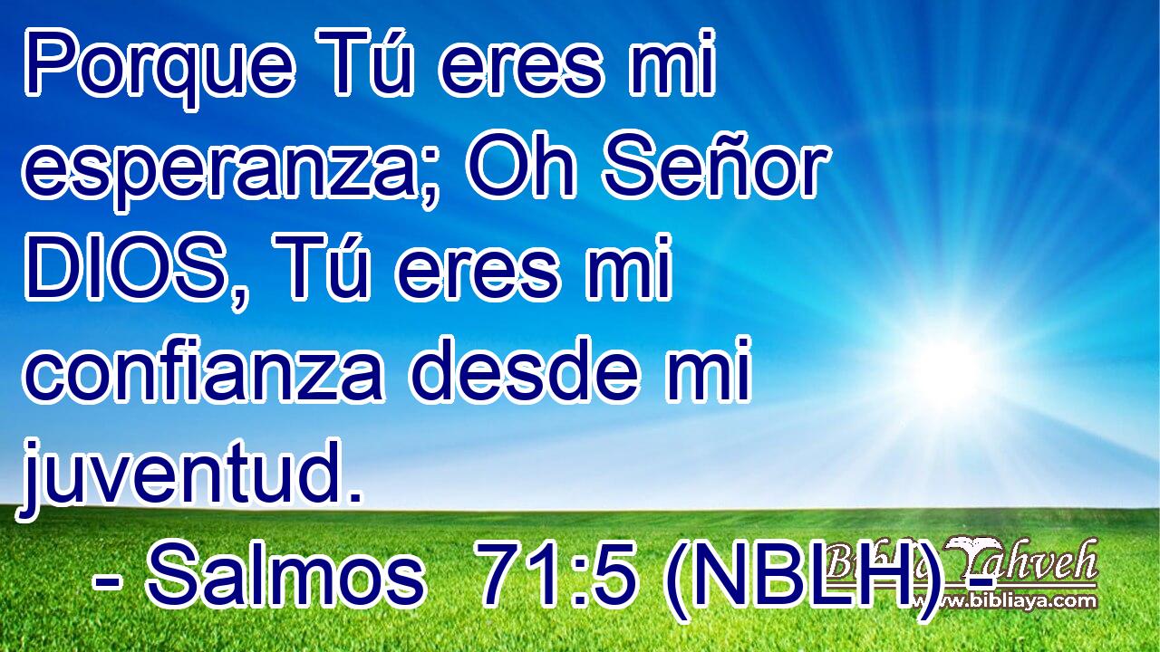  Porque Tú eres mi esperanza; Oh Señor DIOS, Tú eres mi confianza desde mi juventud. 