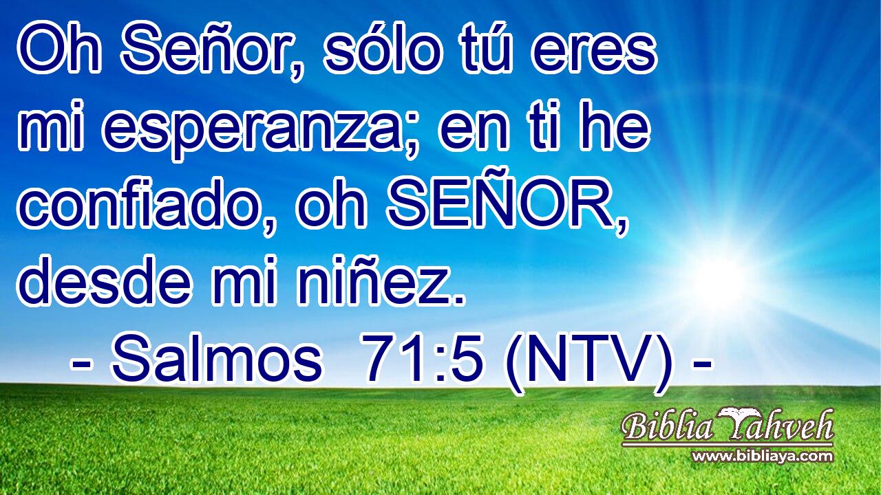 Oh Señor, sólo tú eres mi esperanza; en ti he confiado, oh SEÑOR, desde mi niñez.