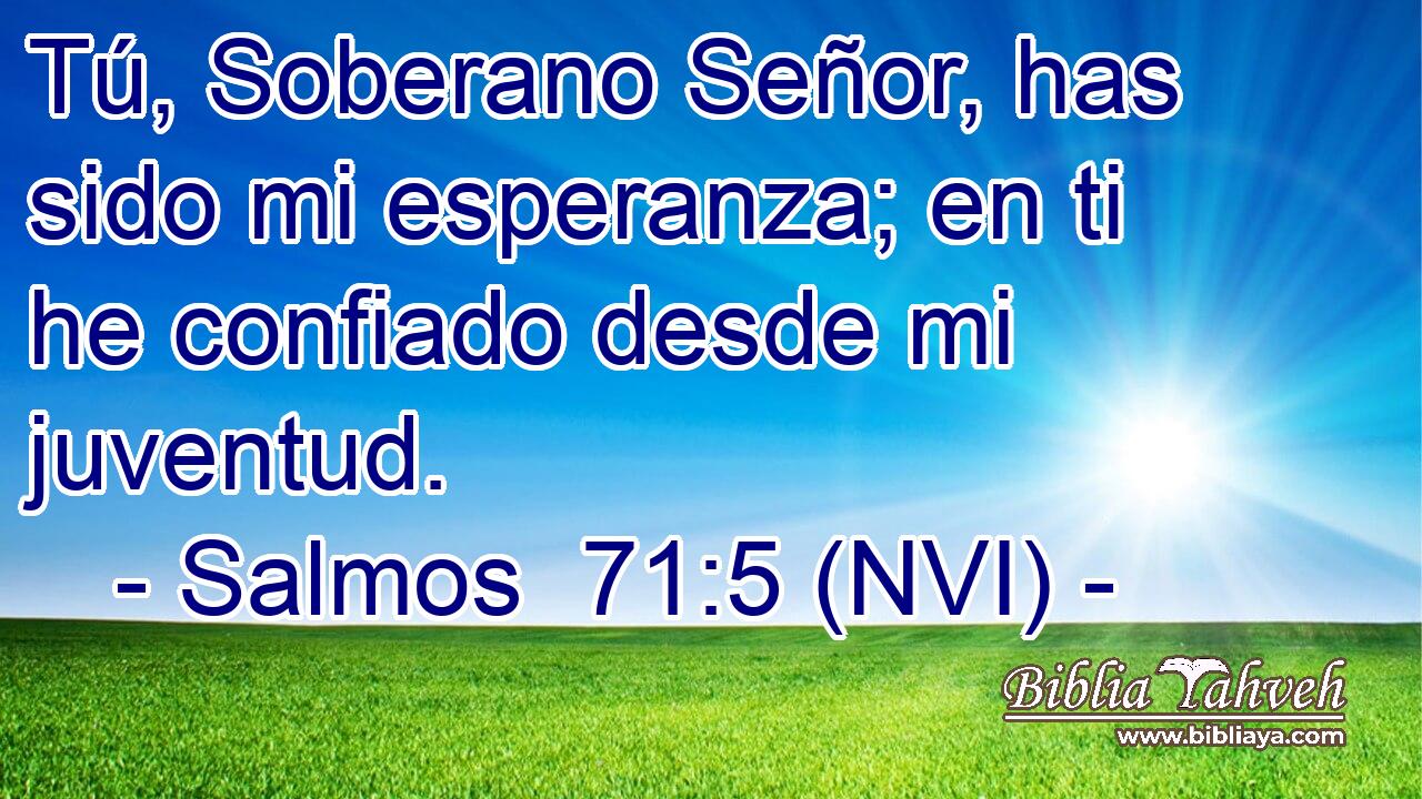  Tú, Soberano Señor, has sido mi esperanza; en ti he confiado desde mi juventud. 