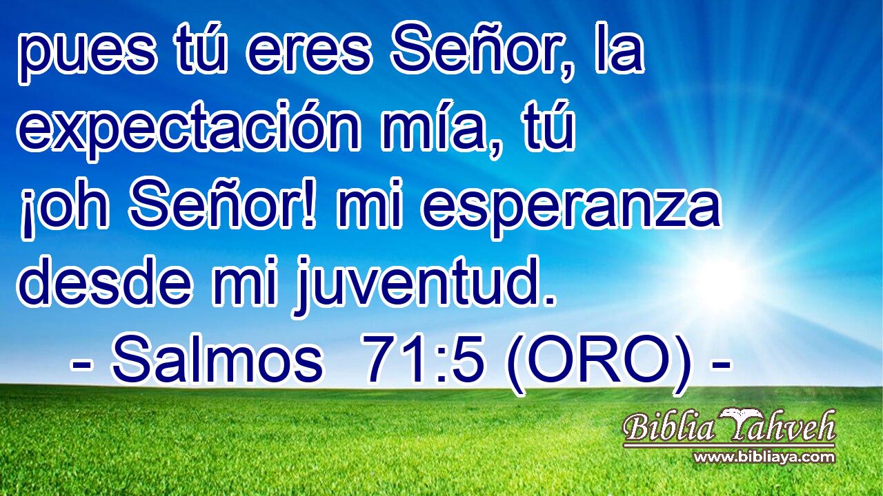  pues tú eres Señor, la expectación mía, tú ¡oh Señor! mi esperanza desde mi juventud. 