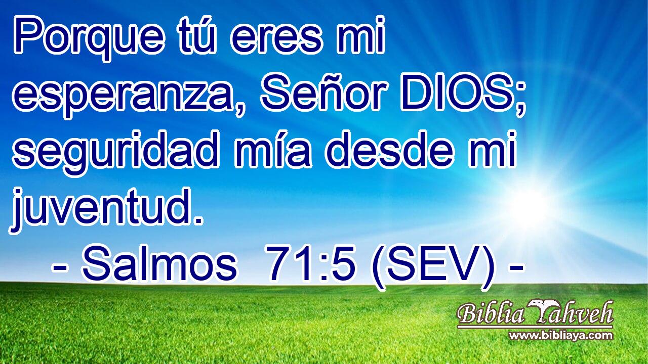 Porque tú eres mi esperanza, Señor DIOS; seguridad mía desde mi juventud.