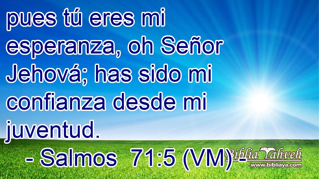  pues tú eres mi esperanza, oh Señor Jehová; has sido mi confianza desde mi juventud. 