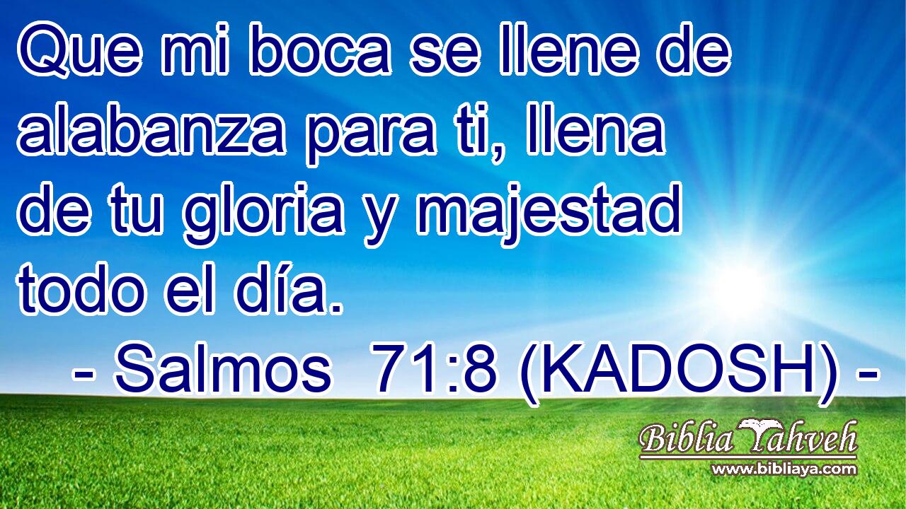  Que mi boca se llene de alabanza para ti, llena de tu gloria y majestad todo el día. 
