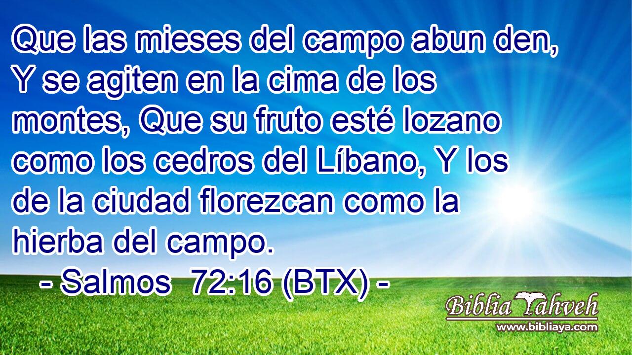 Que las mieses del campo abun den, Y se agiten en la cima de los montes, Que su fruto esté lozano como los cedros del Líbano, Y los de la ciudad florezcan como la hierba del campo.
