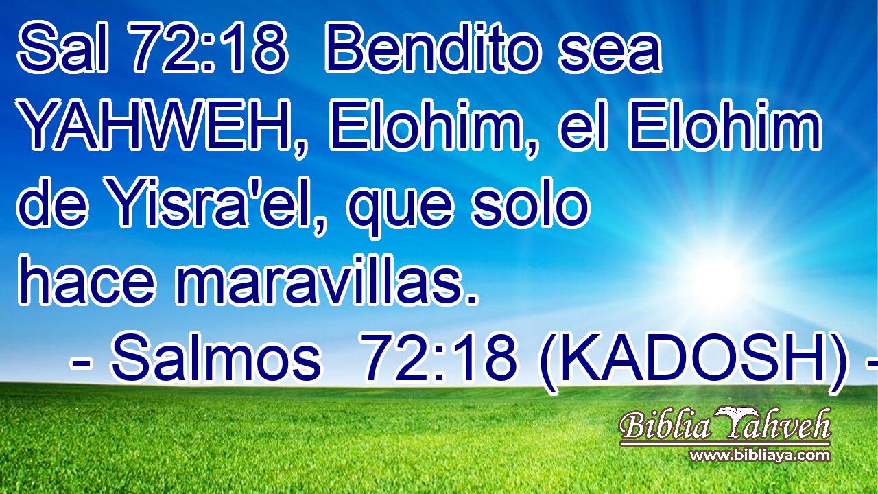  Bendito sea YAHWEH, Elohim, el Elohim de Yisra'el, que solo hace maravillas. 