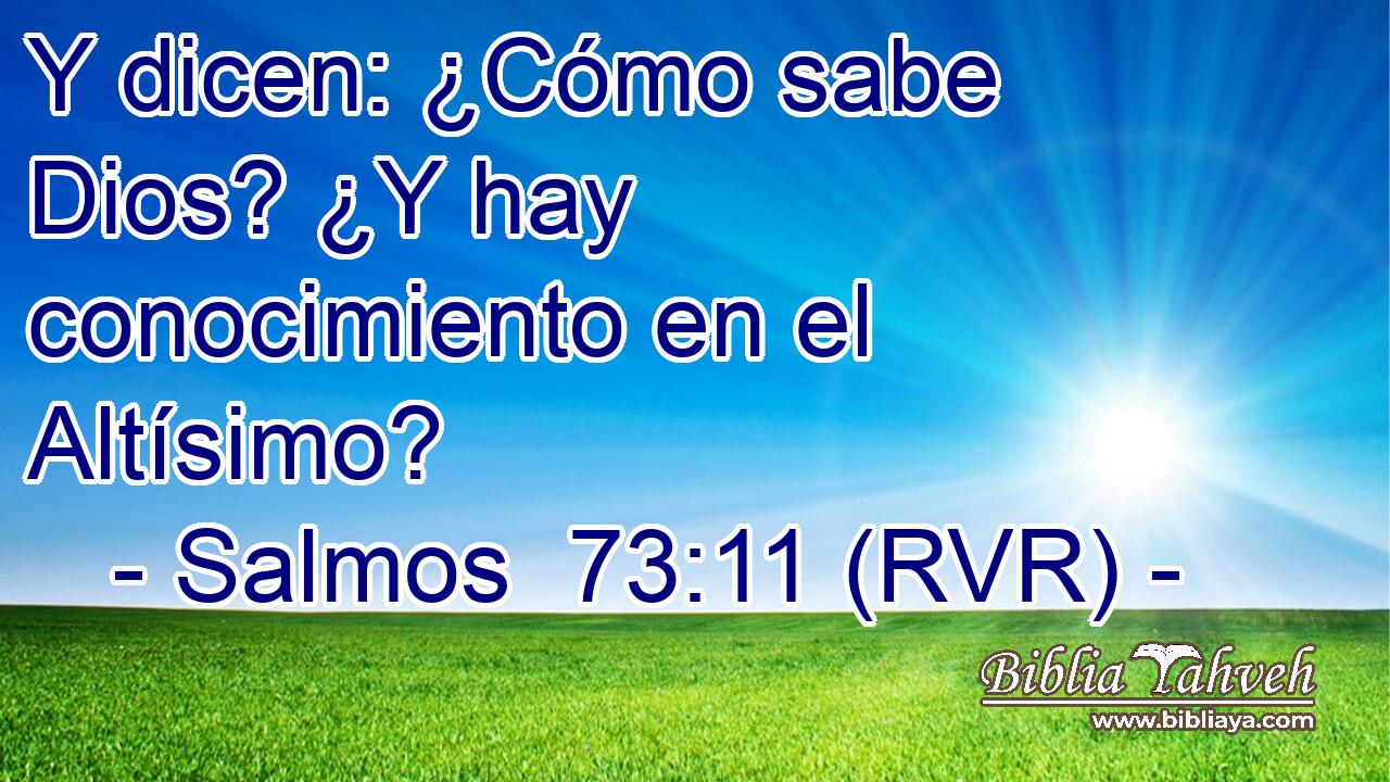 Y dicen: ¿Cómo sabe Dios? ¿Y hay conocimiento en el Altísimo?