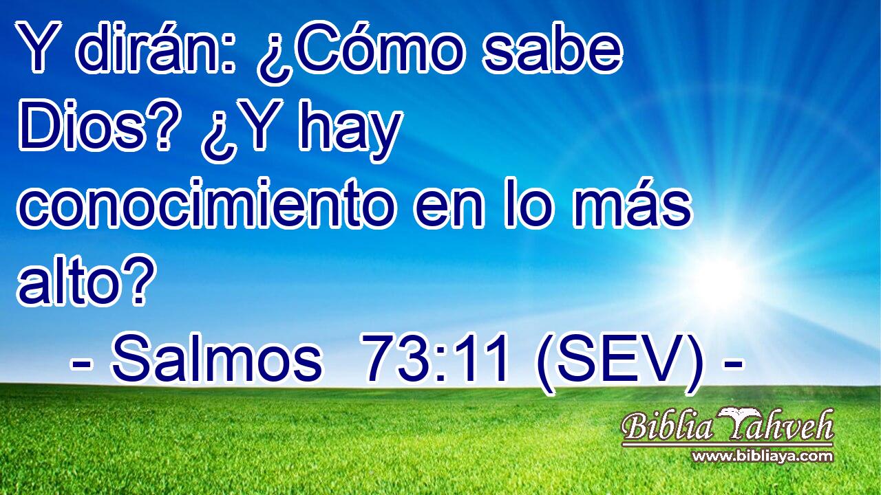 Y dirán: ¿Cómo sabe Dios? ¿Y hay conocimiento en lo más alto?