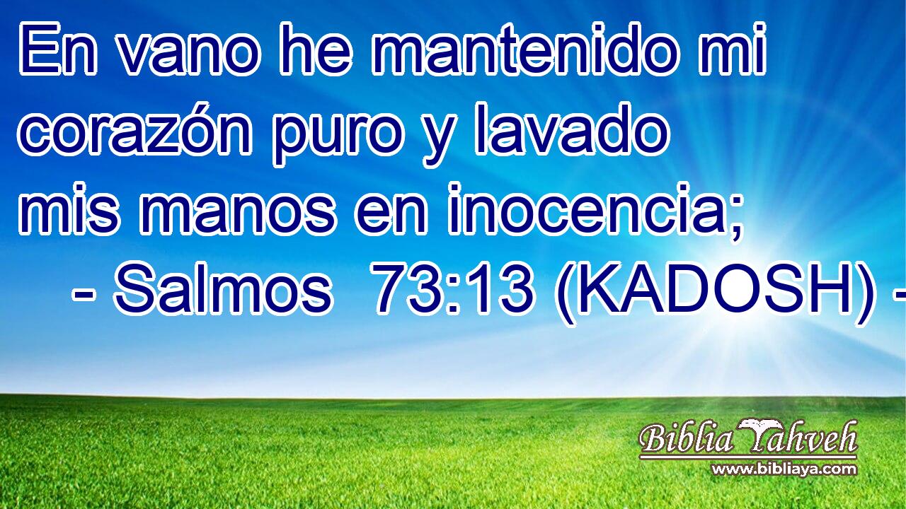  En vano he mantenido mi corazón puro y lavado mis manos en inocencia; 