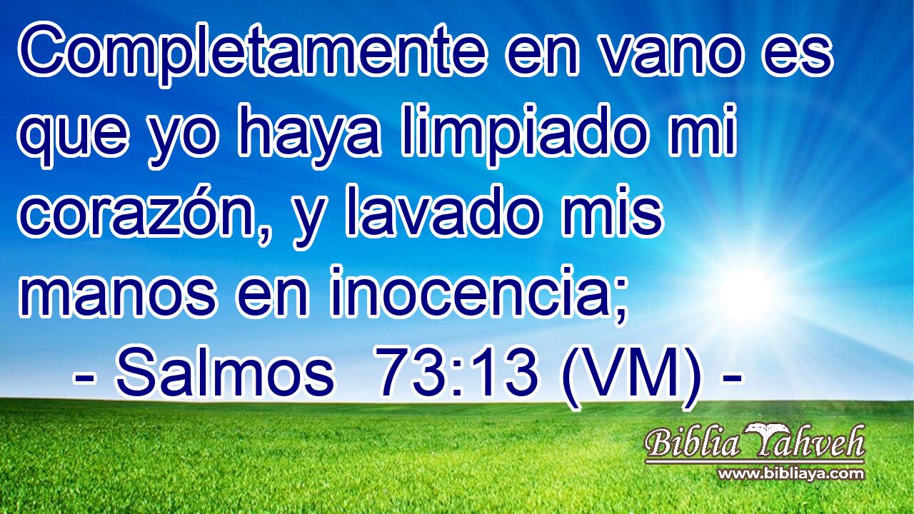  Completamente en vano es que yo haya limpiado mi corazón, y lavado mis manos en inocencia; 