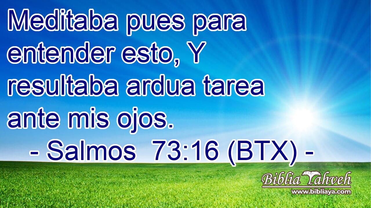 Meditaba pues para entender esto, Y resultaba ardua tarea ante mis ojos.