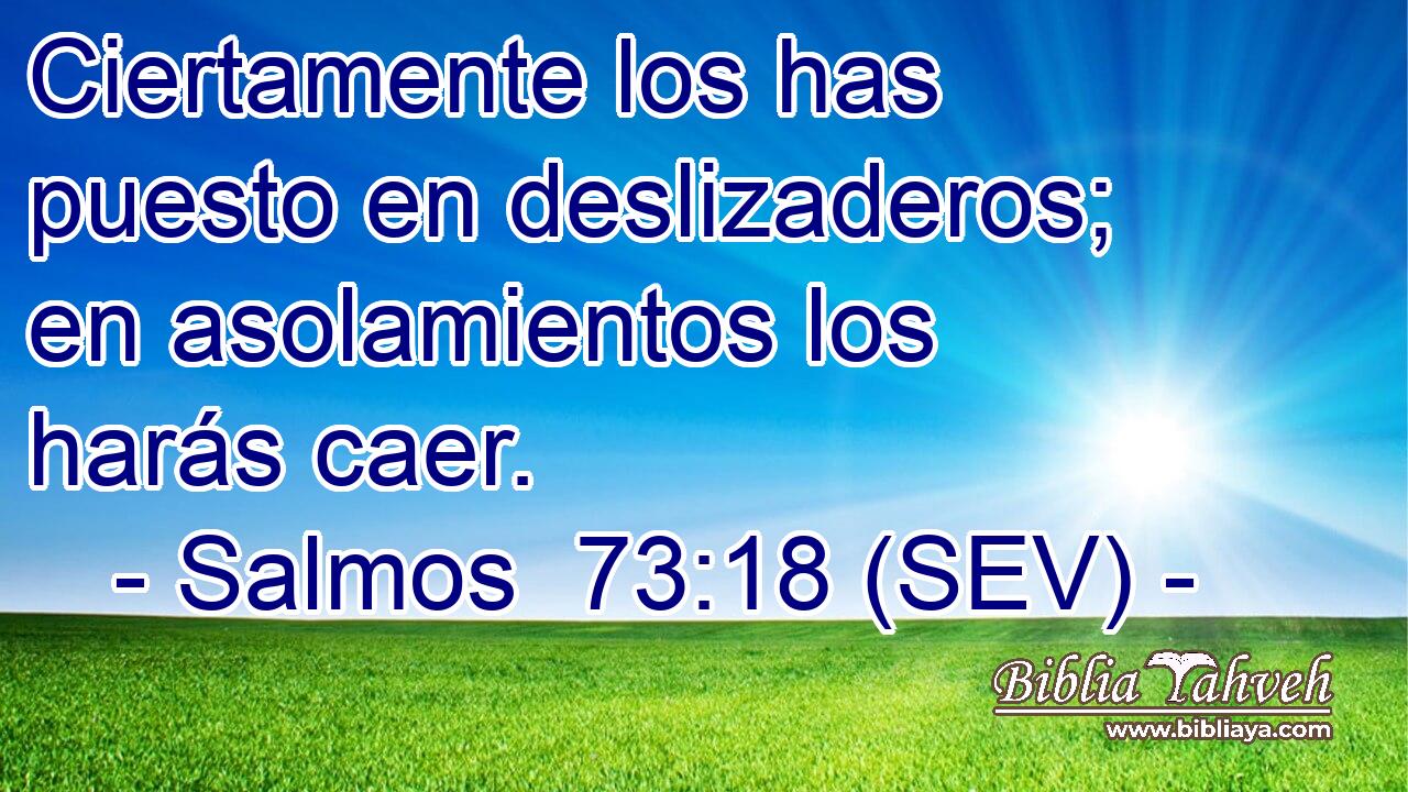 Ciertamente los has puesto en deslizaderos; en asolamientos los harás caer.