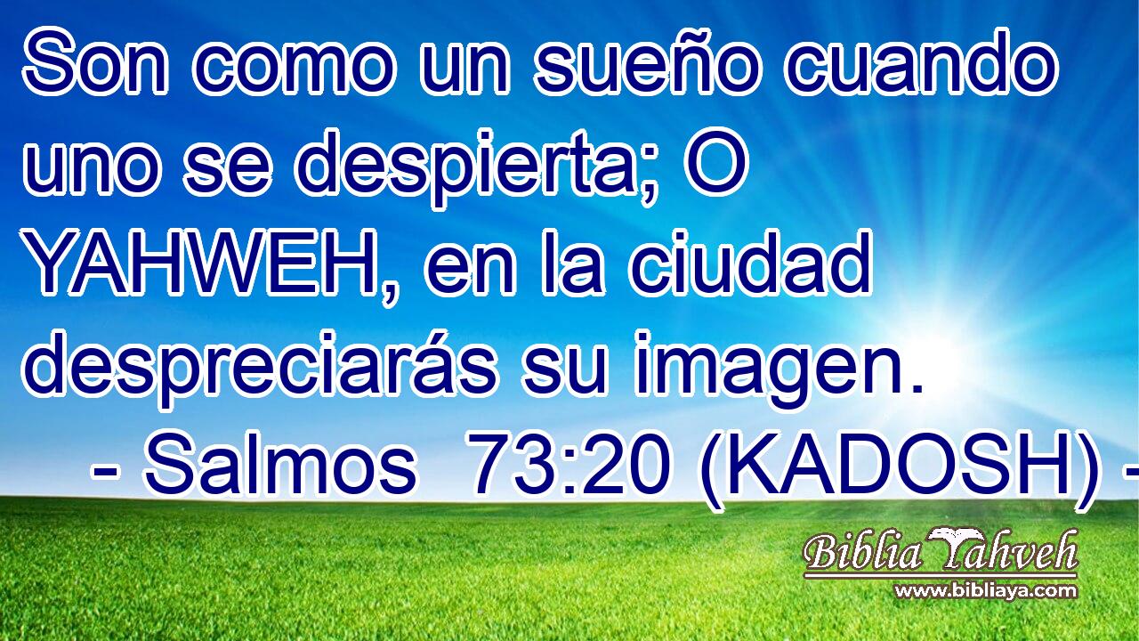  Son como un sueño cuando uno se despierta; O YAHWEH, en la ciudad despreciarás su imagen. 