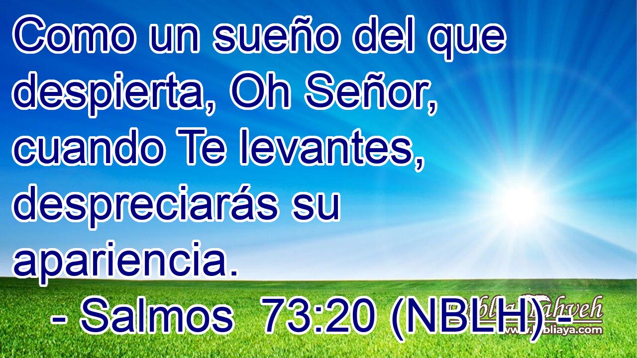  Como un sueño del que despierta, Oh Señor, cuando Te levantes, despreciarás su apariencia. 