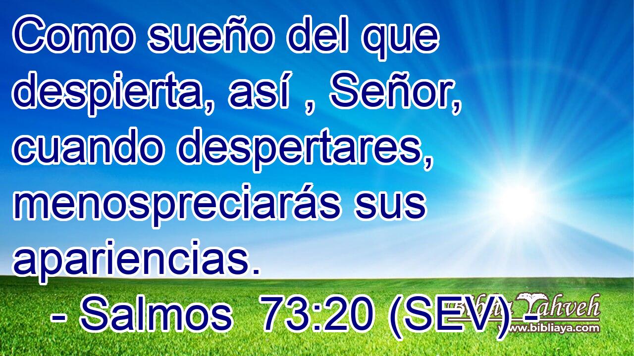 Como sueño del que despierta, así , Señor, cuando despertares, menospreciarás sus apariencias.