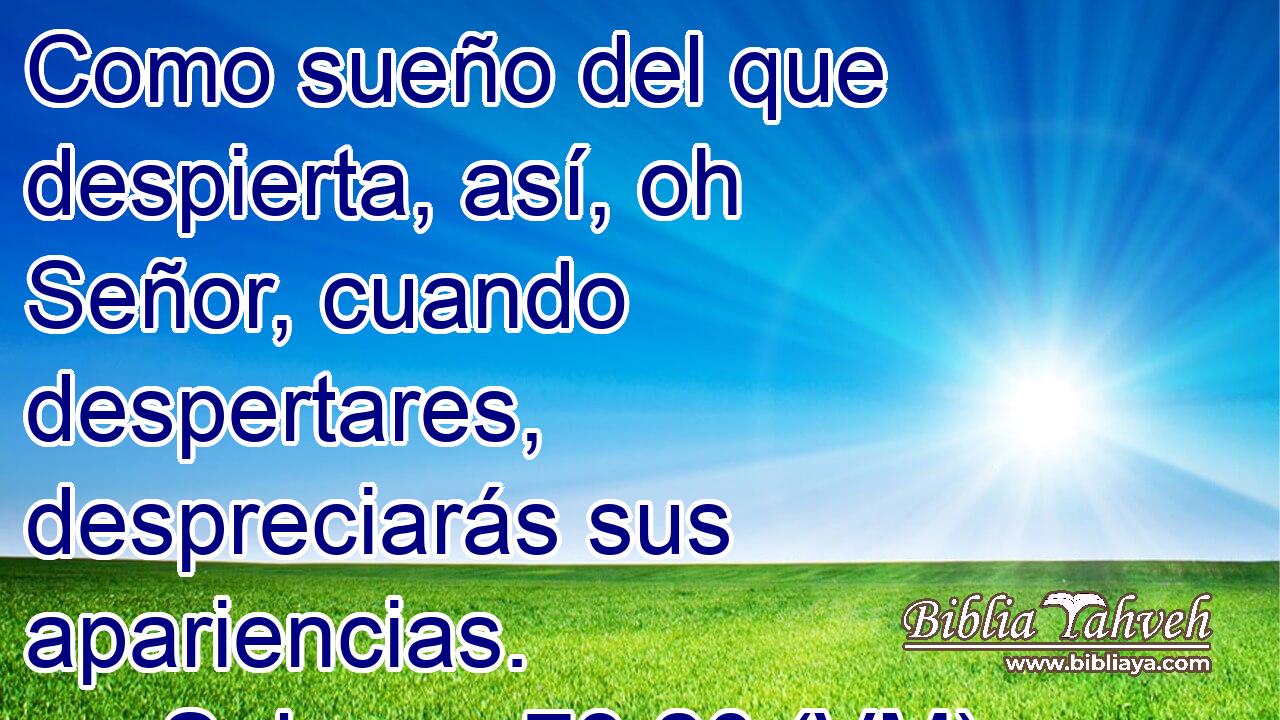  Como sueño del que despierta, así, oh Señor, cuando despertares, despreciarás sus apariencias. 