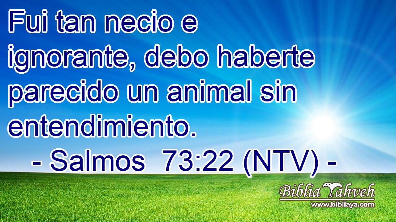 Fui tan necio e ignorante, debo haberte parecido un animal sin entendimiento.