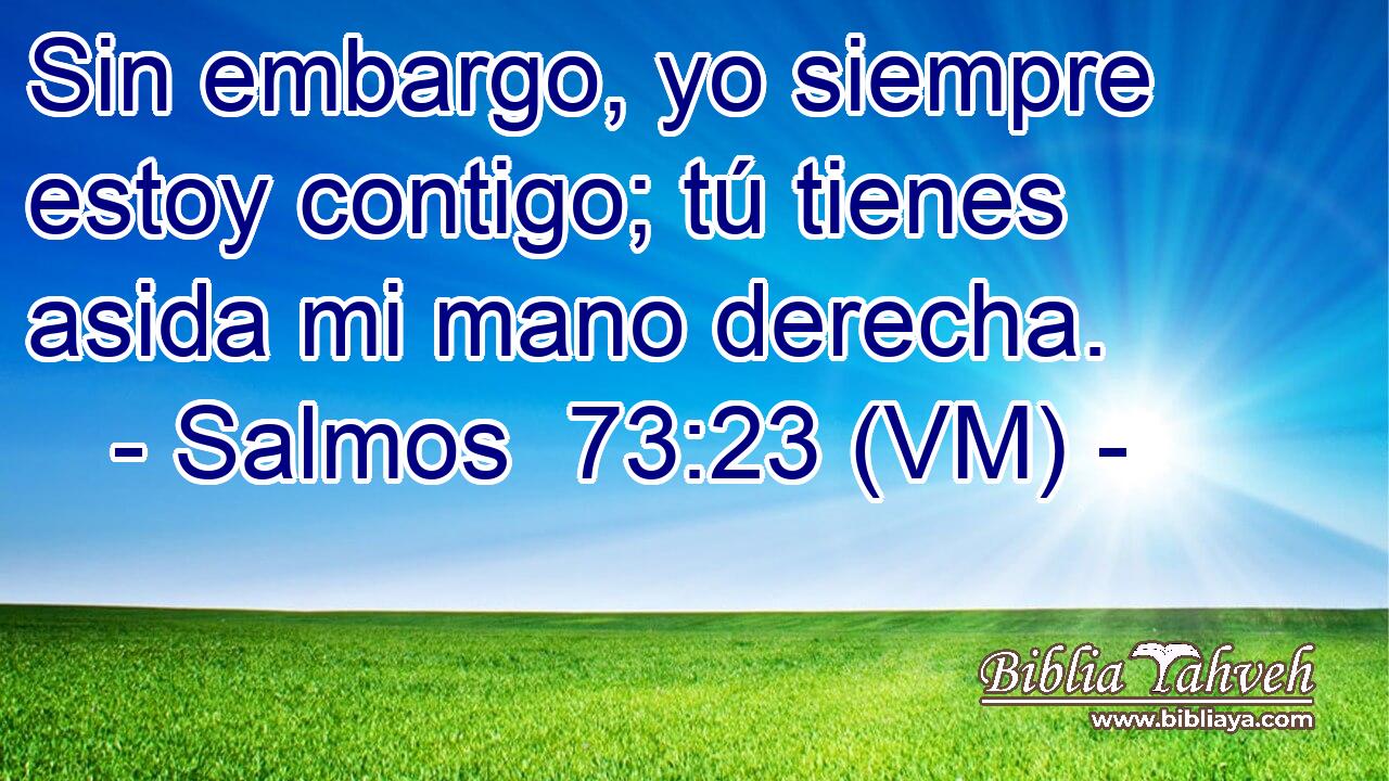  Sin embargo, yo siempre estoy contigo; tú tienes asida mi mano derecha. 