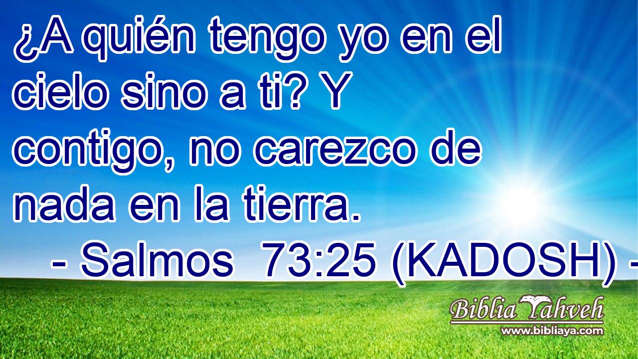  ¿A quién tengo yo en el cielo sino a ti? Y contigo, no carezco de nada en la tierra. 
