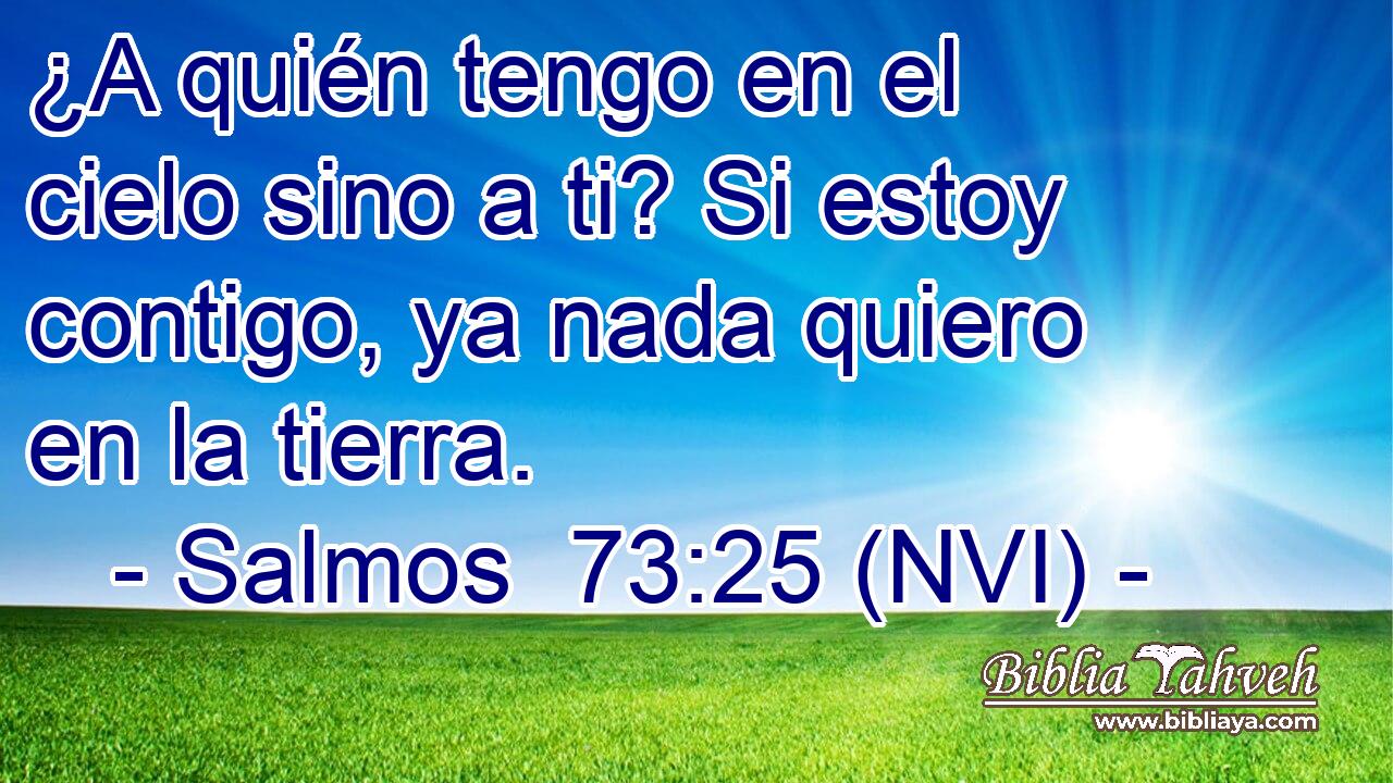  ¿A quién tengo en el cielo sino a ti? Si estoy contigo, ya nada quiero en la tierra. 