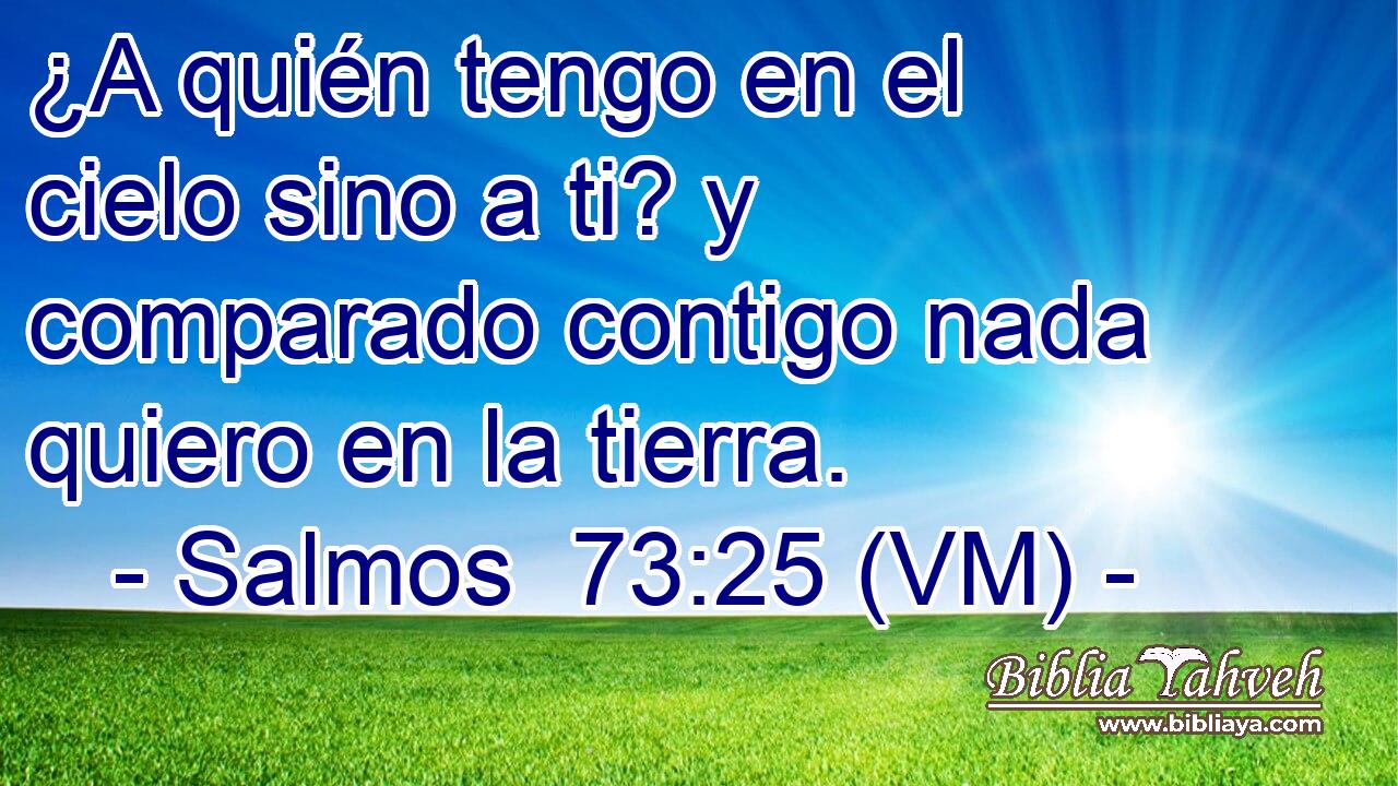  ¿A quién tengo en el cielo sino a ti? y comparado contigo nada quiero en la tierra. 