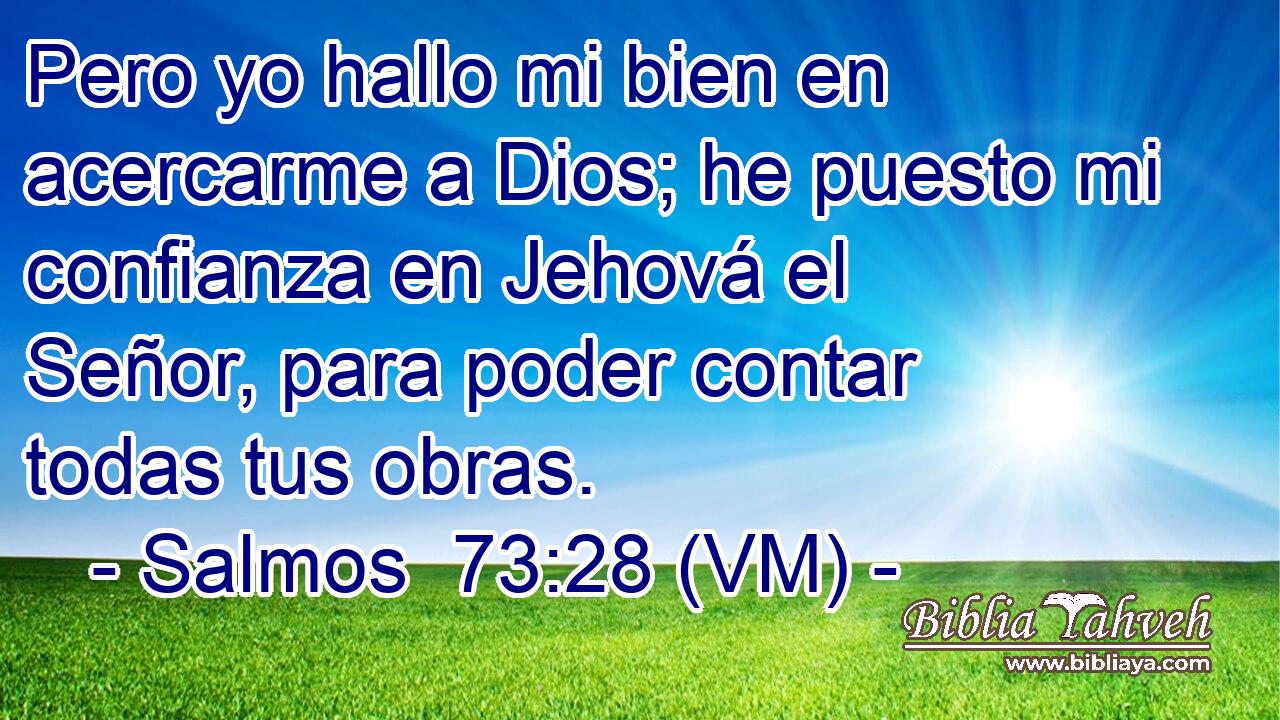 Pero yo hallo mi bien en acercarme a Dios; he puesto mi confianza en Jehová el Señor, para poder contar todas tus obras. 