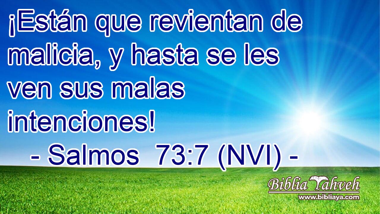  ¡Están que revientan de malicia, y hasta se les ven sus malas intenciones! 