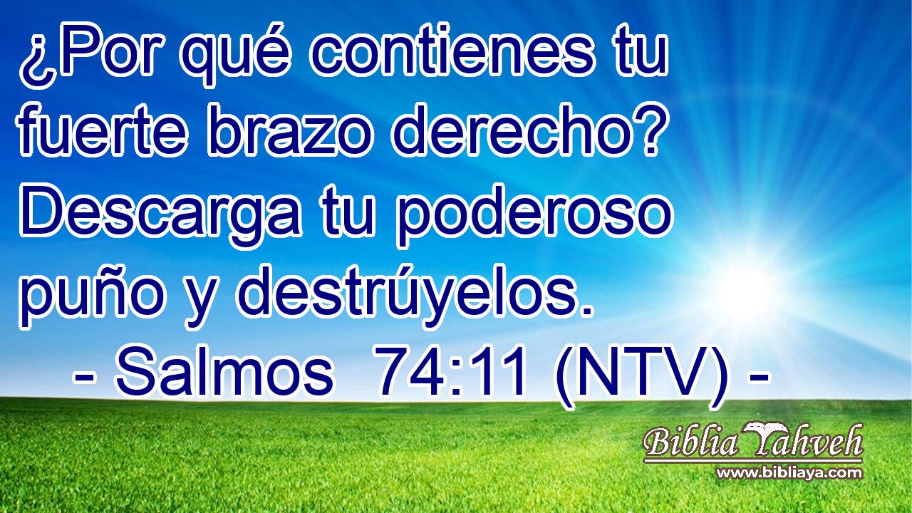 ¿Por qué contienes tu fuerte brazo derecho? Descarga tu poderoso puño y destrúyelos.